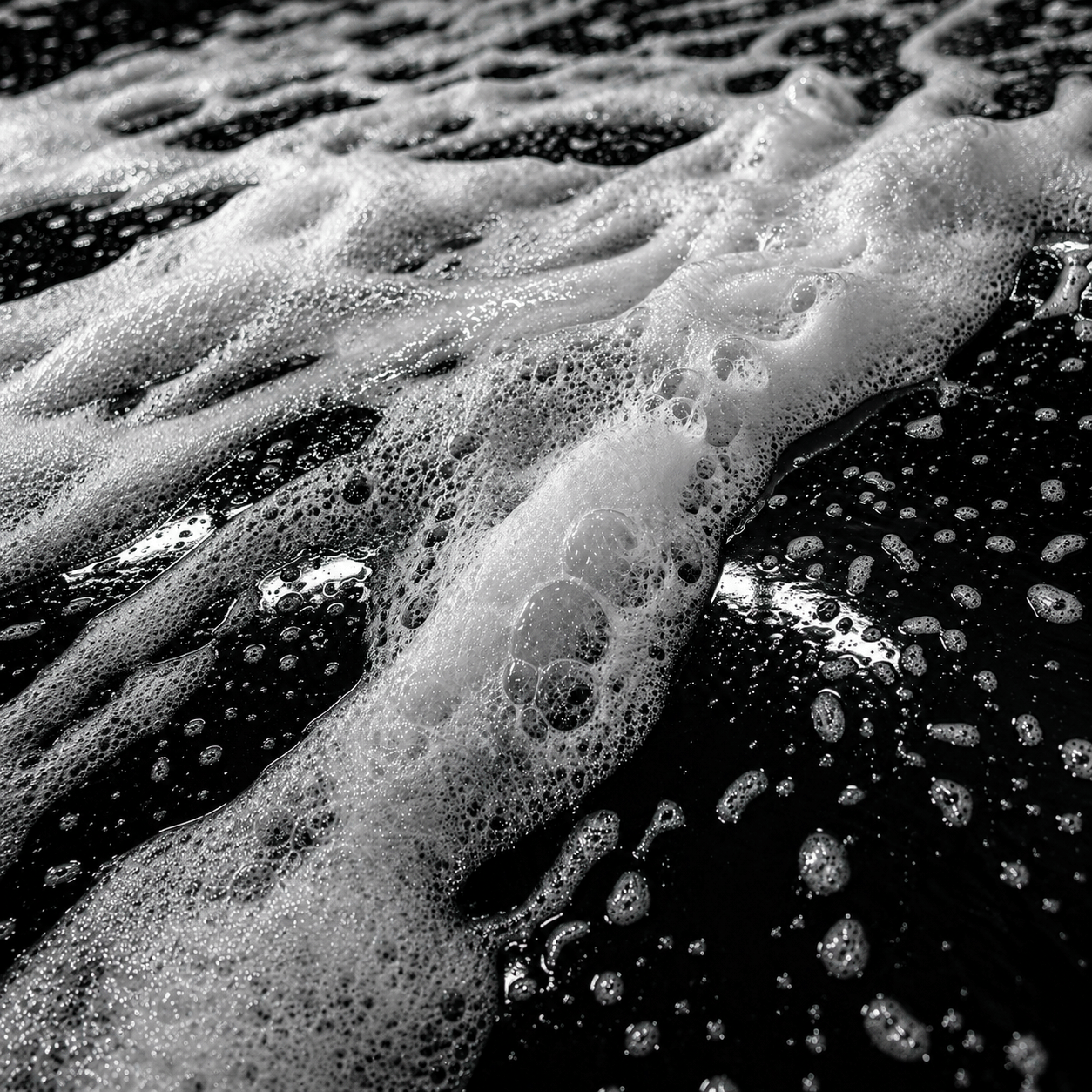 THE SILK BATH | Champú para Coche pH Neutro Alta Lubricación - 600ml 600 ml Creamy